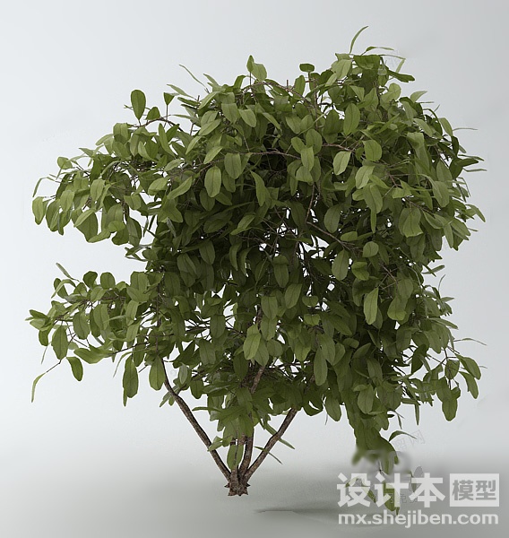 植物3d模型下载