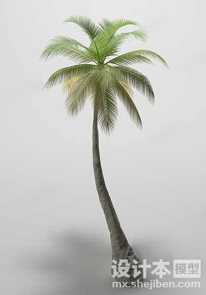 植物3d模型下载