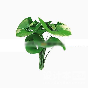 植物3d模型下载