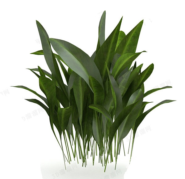 植物3d模型下载