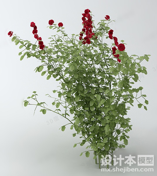 植物3d模型下载