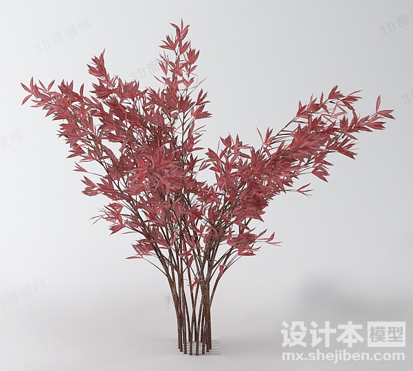 植物3d模型下载