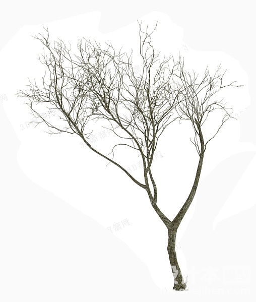 植物3d模型下载