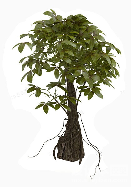 植物3d模型下载