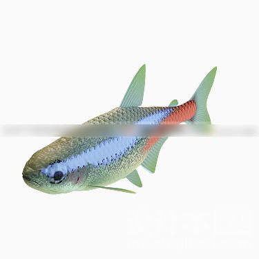 动物3d模型下载