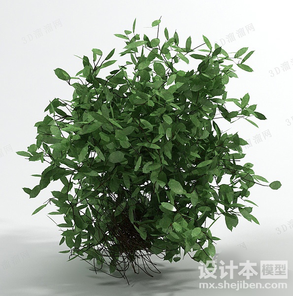 植物3d模型下载