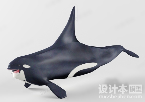 动物3d模型下载