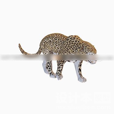 动物3d模型下载