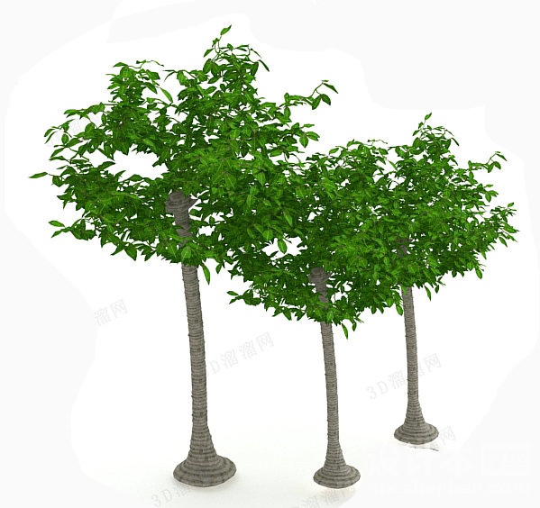 植物3d模型下载