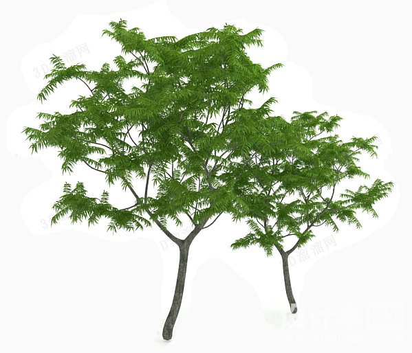 植物3d模型下载