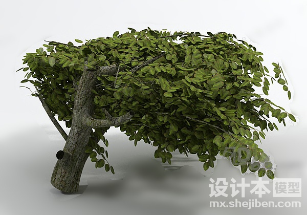 植物3d模型下载