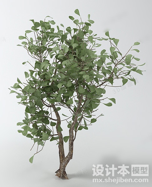 植物3d模型下载