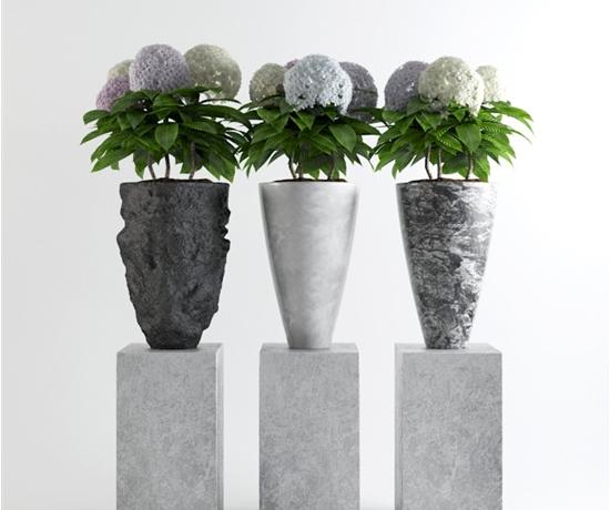 现代花艺盆栽 3d模型下载