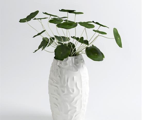 花艺 3d模型下载