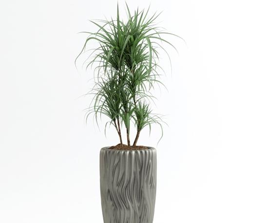 室内外盆景 3d模型下载
