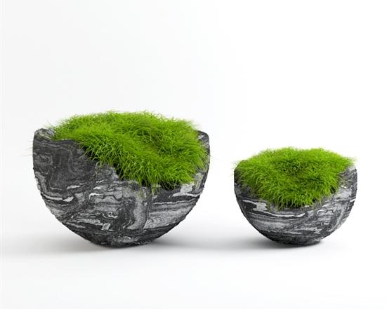 盆景 3d模型下载