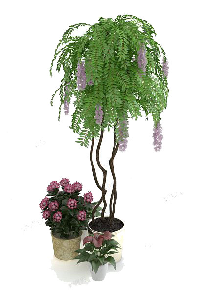 植物盆栽大全3d模型下载