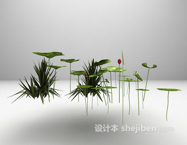 池塘荷花3d模型下载