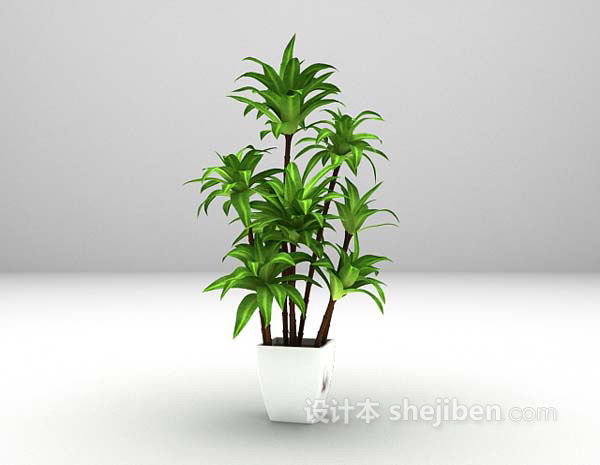 绿色植物3d模型下载