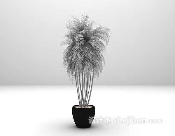植物盆栽3d模型下载