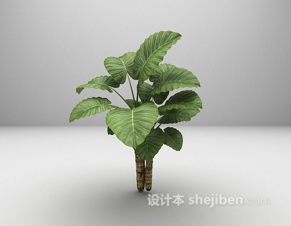 室外大叶植物3d模型下载