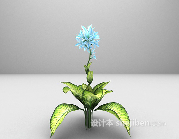 绿色植物推荐3d模型下载