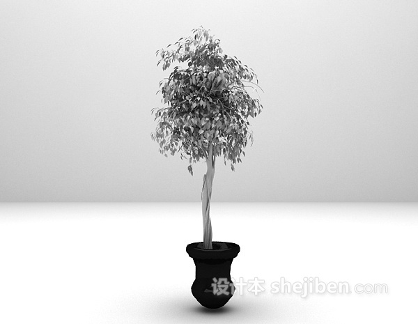 绿色盆栽推荐3d模型下载