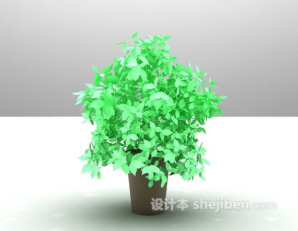 室内小叶绿植3d模型下载