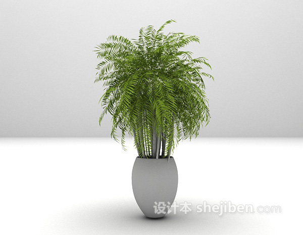 植物盆栽推荐3d模型下载