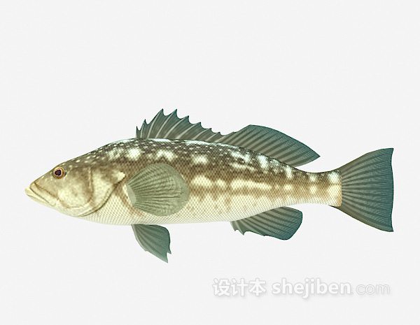 棕色的鱼3d模型下载