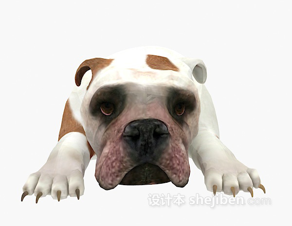 沙皮狗动物3d模型下载