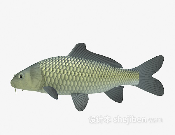 青色的鱼3d模型下载