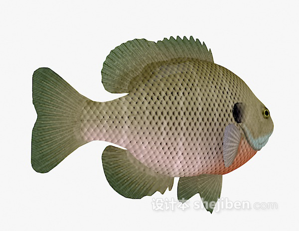 鱼3d模型下载