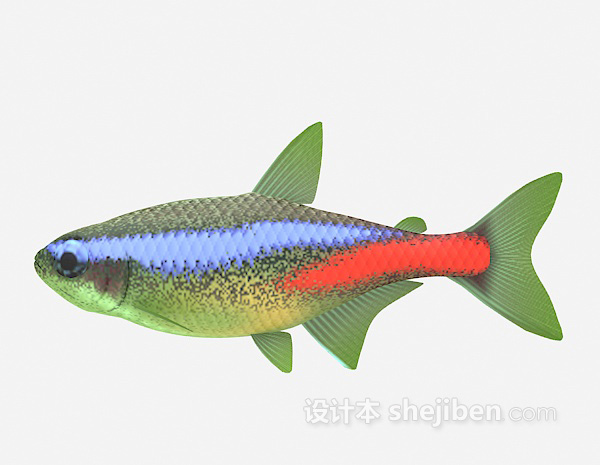 彩色鱼3d模型下载