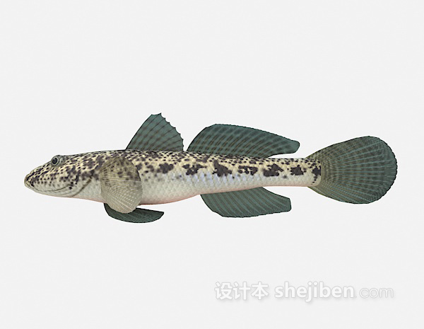 淡水鱼3d模型下载