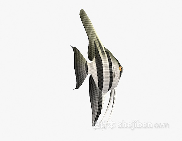 条纹鱼的3d模型下载