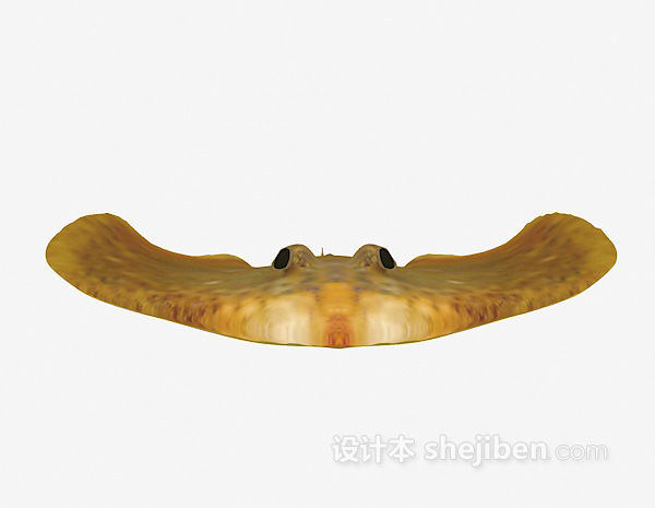黄色怪鱼3d模型下载