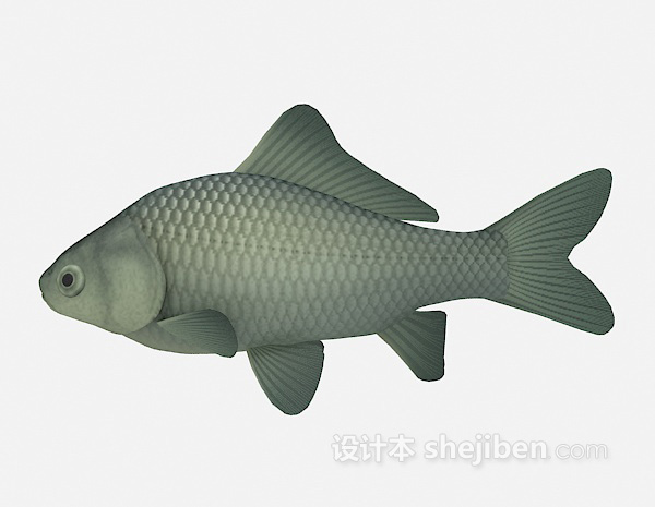 鲤鱼3d模型下载