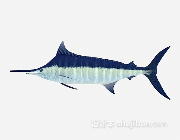 鲨鱼3d模型下载