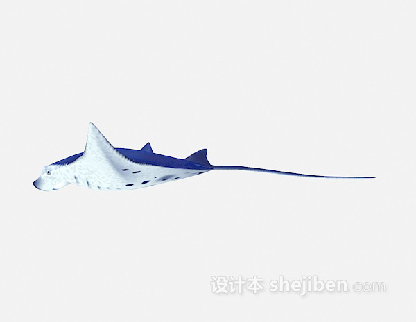 海鱼类3d模型下载