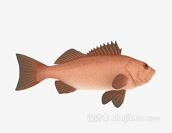 海鱼3d模型下载