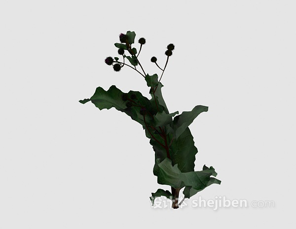 室外植物3d模型下载