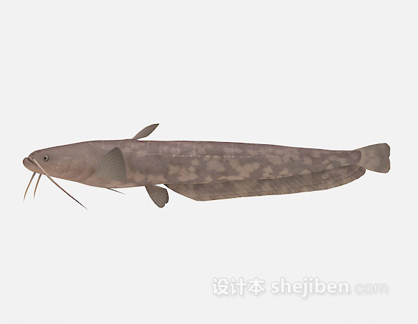 长须鱼3d模型下载