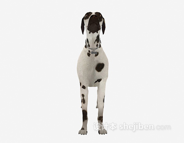 斑点狗动物3d模型下载