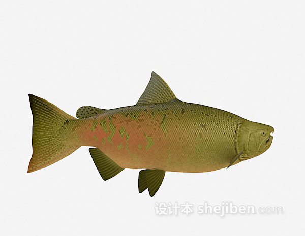 海鱼大全3d模型下载