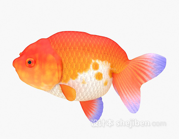 红色金鱼3d模型下载