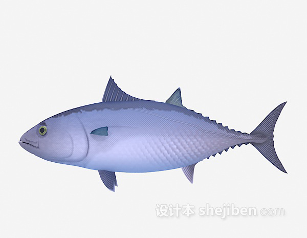 小胖鱼3d模型下载