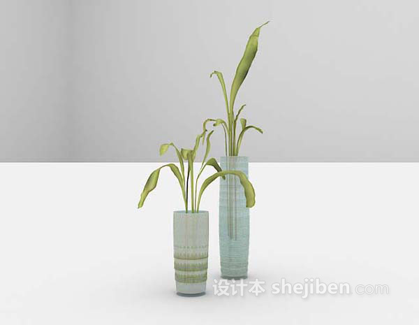室内植物3d模型下载