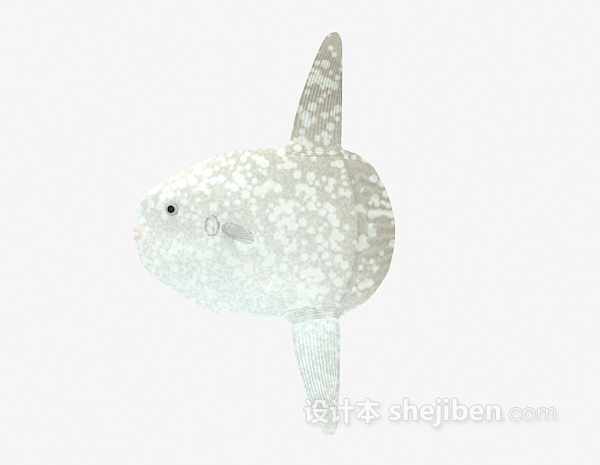 海鱼类欣赏3d模型下载