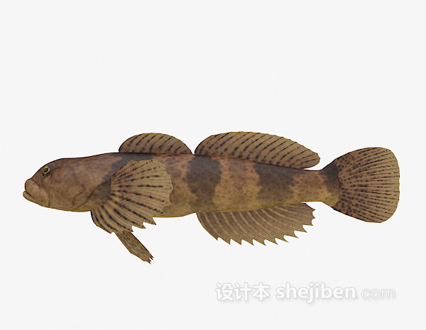 棕色的丑鱼3d模型下载
